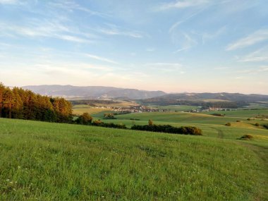 Yeşil dağ çayırı manzarası