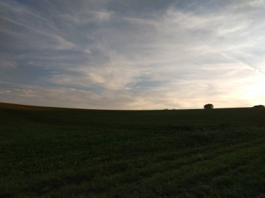 Yeşil dağ çayırı manzarası