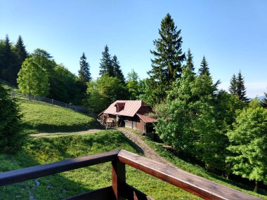 Güneşli bir günde dağ ormanındaki kır evi.