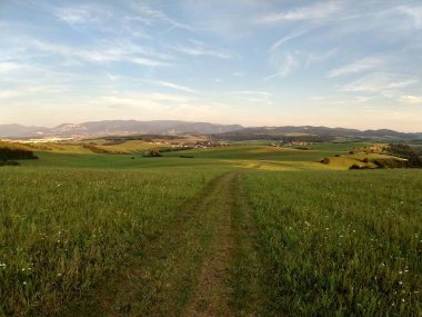 Yeşil dağ çayırı manzarası