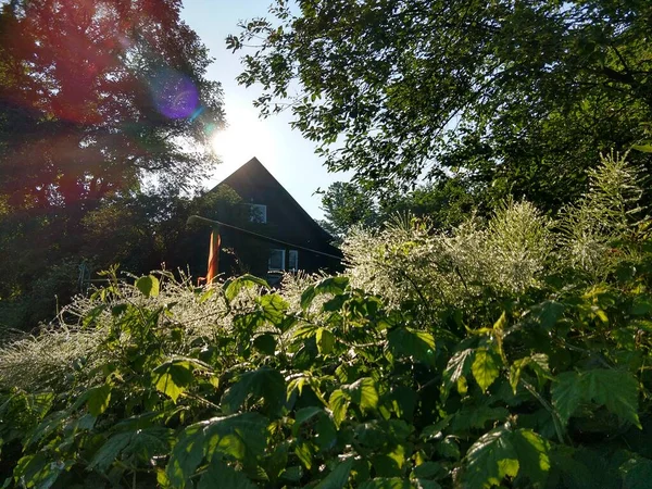 Ferienhaus Auf Grüner Wiese Sonnigem Tag — Stockfoto