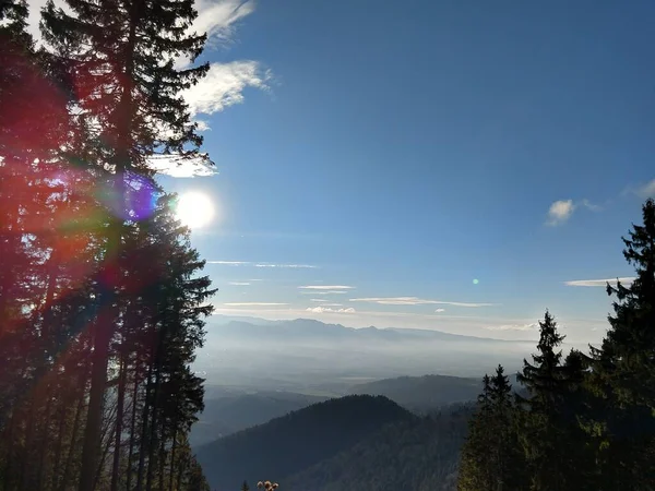 Champ Vert Avec Brouillard Ciel — Photo