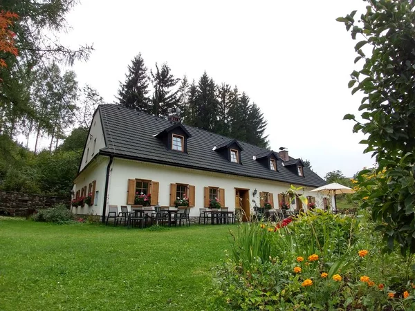 Ancienne Maison Bois Jardin Verdoyant — Photo