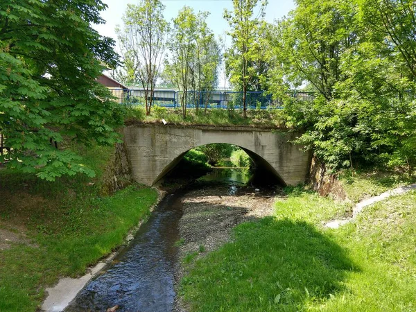 Waterstroom Brug Groen Bos — Stockfoto