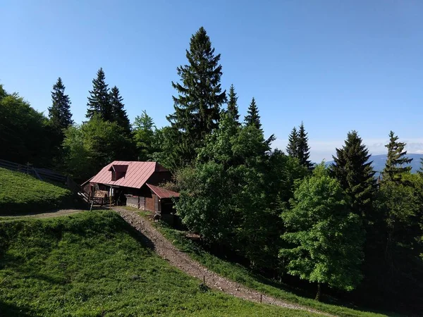 Chalet Forêt Montagne Journée Ensoleillée — Photo