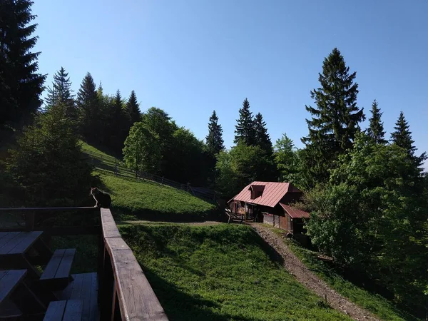 Güneşli Bir Günde Dağ Ormanındaki Kır Evi — Stok fotoğraf