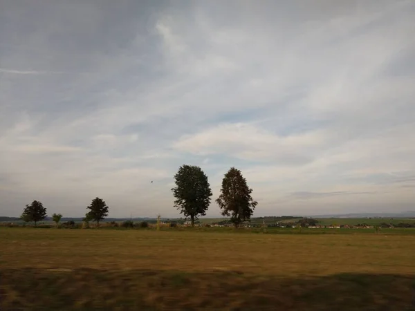 畑や木のある美しい田園風景 — ストック写真