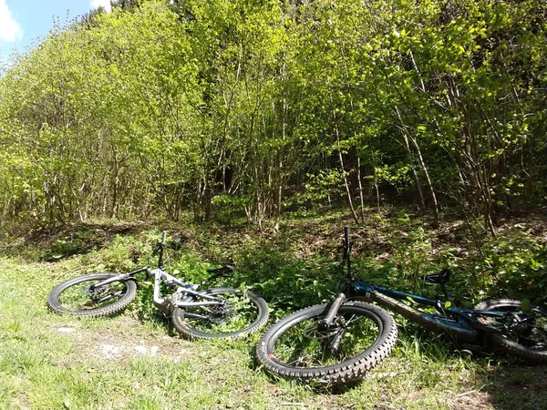Jaki Sport Lubisz Najbardziej Bicycles Meadow Forest — Zdjęcie stockowe