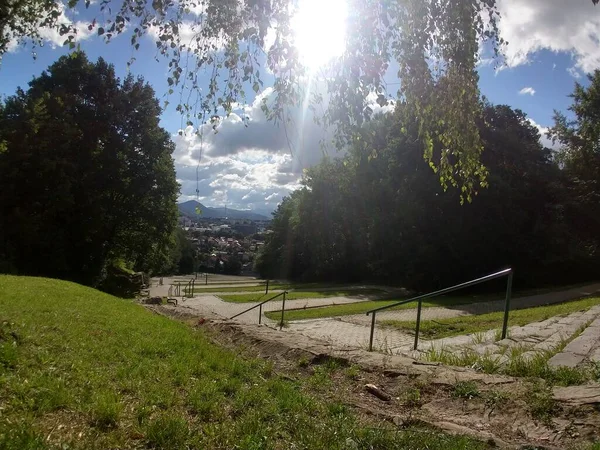 Green Park Sunny Day — Stock Photo, Image