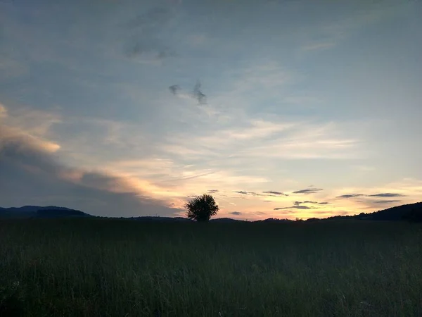 夕阳西下 山顶草甸上 斯洛伐克 — 图库照片