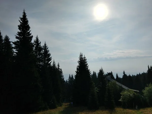 Hermoso Paisaje Bosque Montaña —  Fotos de Stock