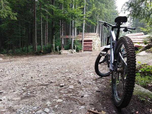 Rower Górski Kamiennej Drodze Lesie — Zdjęcie stockowe
