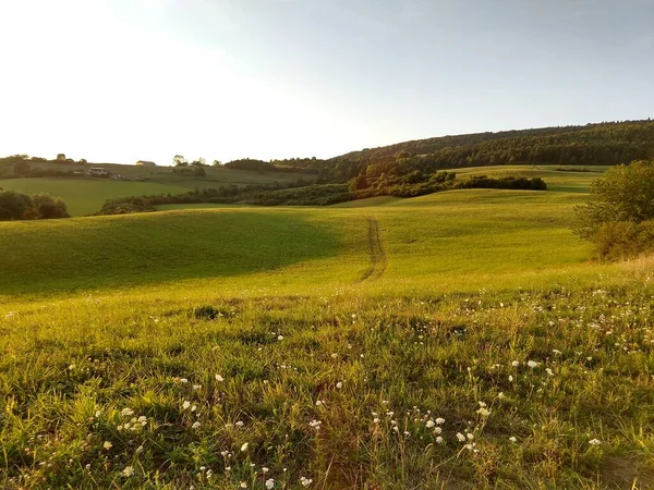 Зелений Гірський Луг Пейзаж — стокове фото