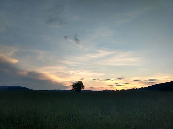 Sunset Mountain Meadow Slovakia — Stock Photo, Image