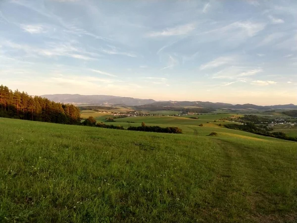 Grönt Ängslandskap — Stockfoto