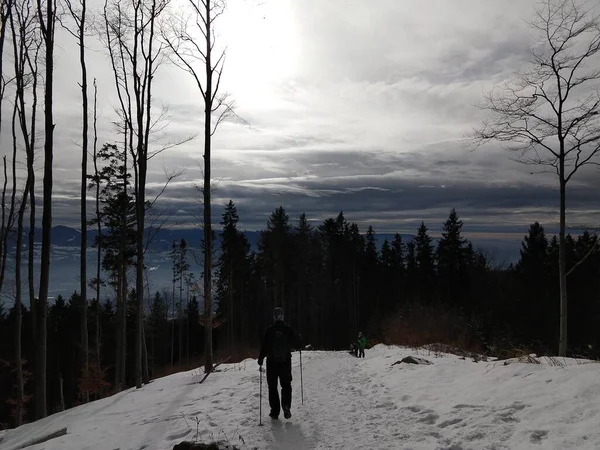 Mann Läuft Verschneiten Winterwald — Stockfoto
