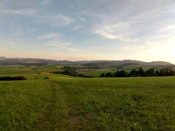 Paysage Prairie Montagne Verte — Photo