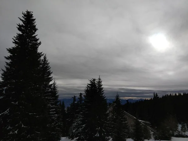 Naturen Snön Vintern Slovakien — Stockfoto