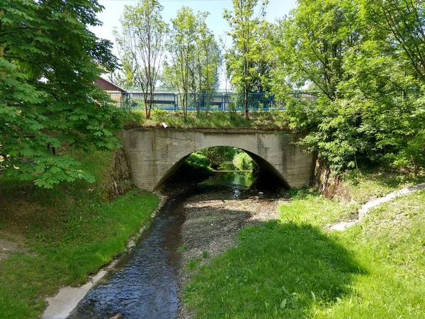 Waterstroom Brug Groen Bos — Stockfoto