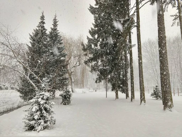 Parcheggiare Sotto Neve Durante Inverno Slovacchia — Foto Stock