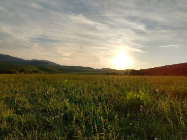 Yeşil dağ çayırı manzarası