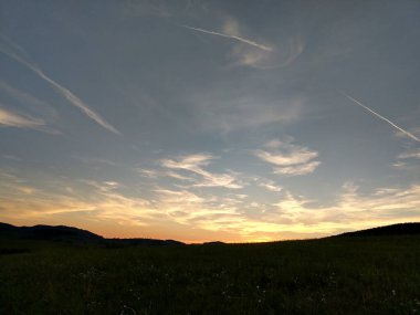 Güzel yeşil dağ orman