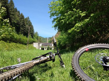 Arka planda güzel orman ve bisiklet