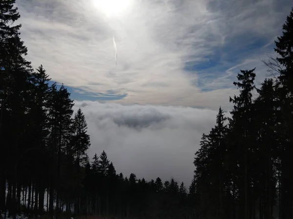 Winter Forest Mountains Background — Stock Photo, Image