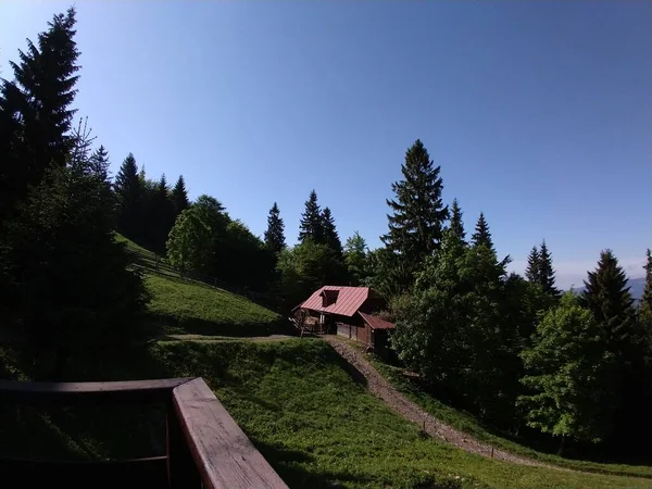 Ferienhaus Bergwald Sonnigen Tag — Stockfoto