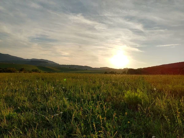 Zelená Horská Louka — Stock fotografie