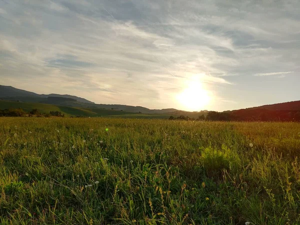 Zelená Horská Louka — Stock fotografie