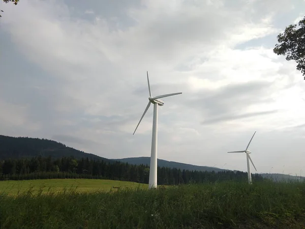 Wind Turbines Green Meadow — Stock Photo, Image