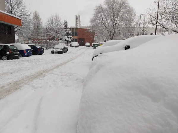 Arabalar kış boyunca otoparkta karla kaplıydı. Slovakya