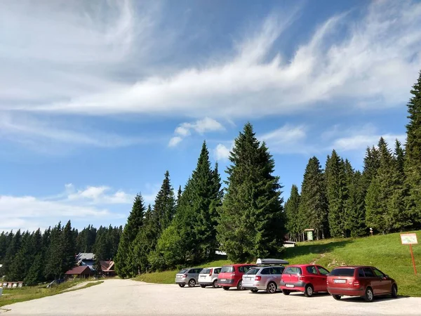 Auto Geparkeerd Nabij Groen Bos — Stockfoto