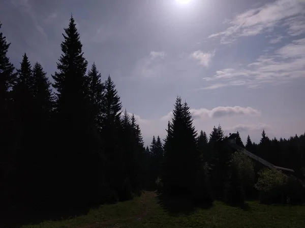 Dağ Orman Üzerinde Gündoğumu — Stok fotoğraf