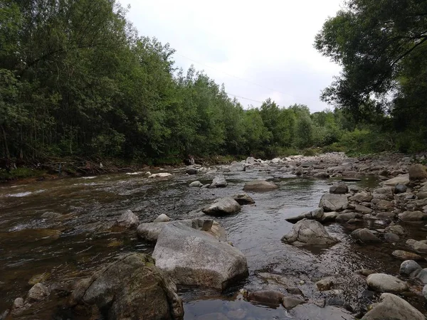 Agua Que Fluye Sobre Las Rocas Bosque —  Fotos de Stock