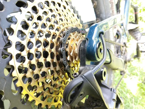 Bicicleta Deportiva Bosque Soleado — Foto de Stock