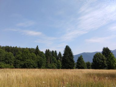 Yaz manzarası ve arka planda gün batımı