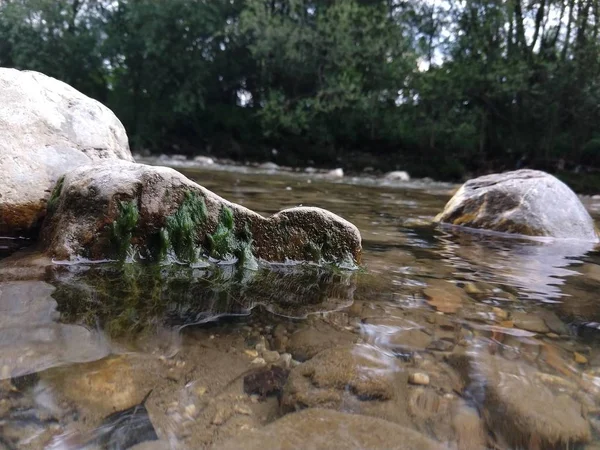 Water Flowing Rocks Forest — Stock Photo, Image