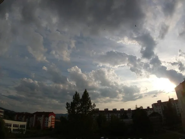 Vista Sulla Città Con Alberi Verdi Tramonto — Foto Stock