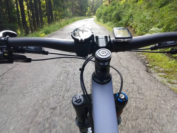 Beautiful Forest Bicycle Background — Stock Photo, Image