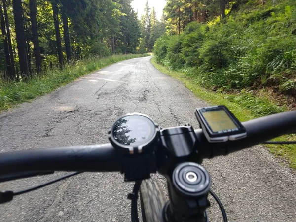Arka Planda Güzel Orman Bisiklet — Stok fotoğraf