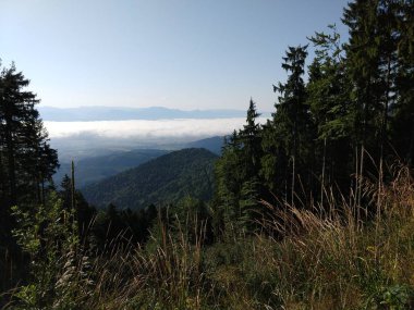 Yaz manzarası ve arka planda gün batımı