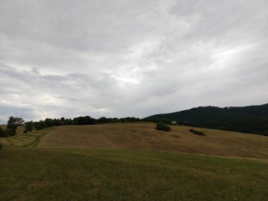 Yaz manzarası ve arka planda gün batımı