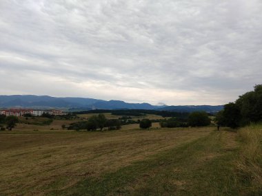 Yaz manzarası ve arka planda gün batımı
