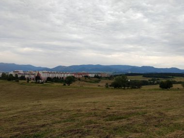 Yaz manzarası ve arka planda gün batımı