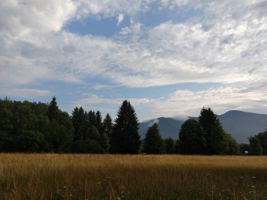 Yaz manzarası ve arka planda gün batımı