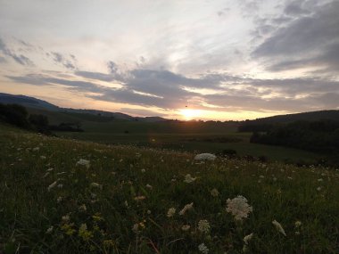 Yaz manzarası ve arka planda gün batımı