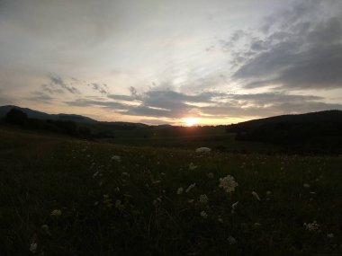 Yaz manzarası ve arka planda gün batımı