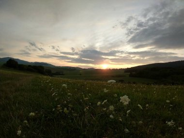 Yaz manzarası ve arka planda gün batımı